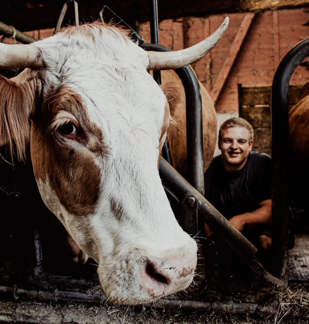 Handwirt Fabian beim melken mit seiner Kuh